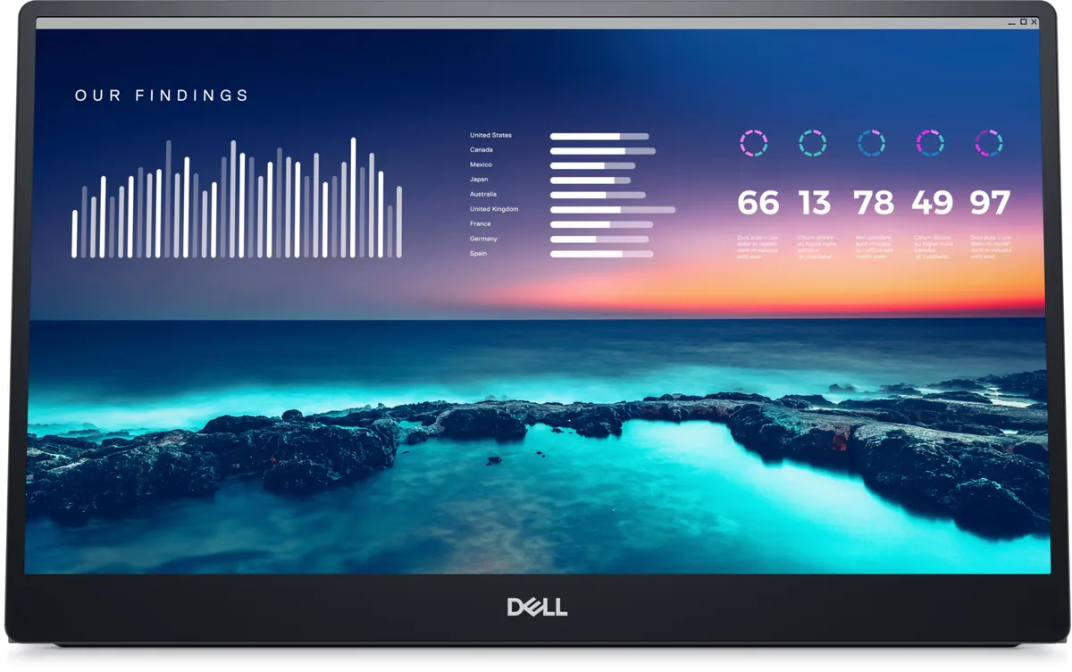 Dell 14 Portable Monitor P1424H monitor